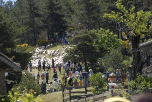 Affiche Total Festum transhumance Les Ayres