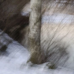 Hiver - Philippe Cadu 