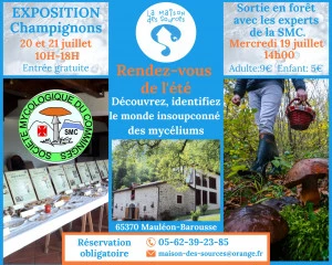 Affiche Exposition champignons et sortie cueillette en forêt