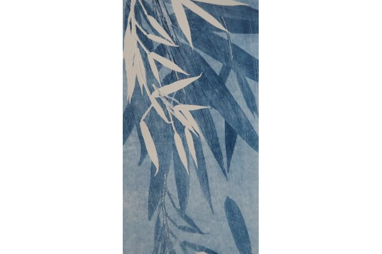 Herbier imaginaire, Graminées, les orientales - monotype, encre sur papier