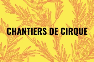 Affiche Chantiers de cirque - Cie La Mob à Sisyphe & Cie MariaMaria