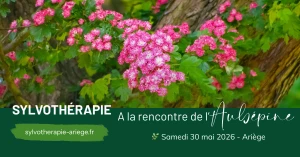 Affiche Sylvothérapie - Une journée en forêt à la rencontre de l'Aubépine