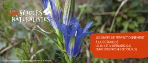 Affiche 3 journées de perfectionnement à la Botanique