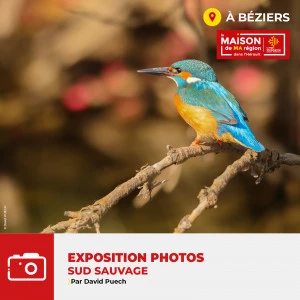Affiche Exposition "SUD SAUVAGE" par David PUECH
