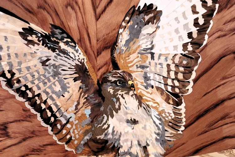 Buse - Marqueterie de Bois 2021 - CGarcia 