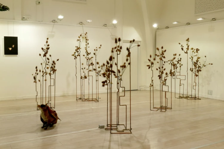 CABARET DES OISEAUX 2020-2021 - tuyauterie de cuivre, cardère sauvage séchée, dispositif sonore, chants de chardonnerets, hauts parleurs 12mm, cartes programmées Arduino