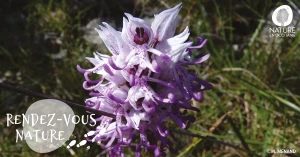 Affiche 15/03 - Au fil du Parc du Confluent