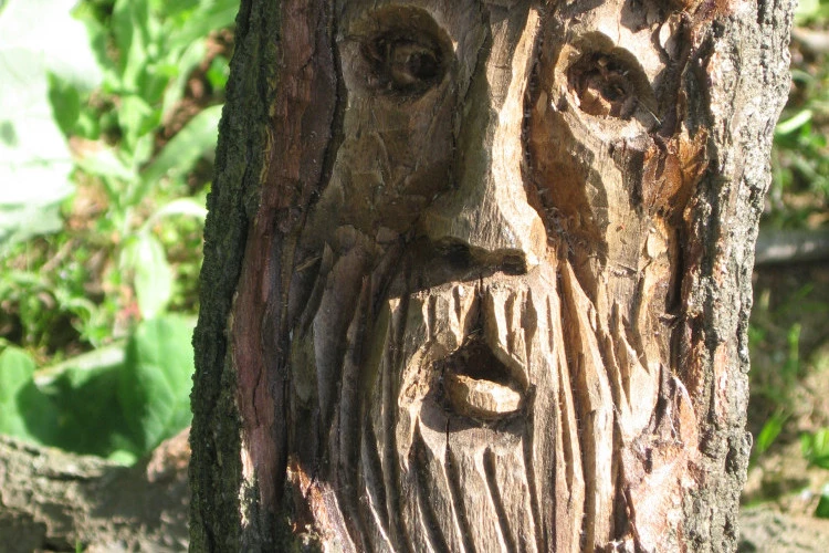 Merlin - 1999 taillée sur un chêne tombé à la tempête Lothar au ciseau à main - Oeuvre originale de Daniel CASENOVE 