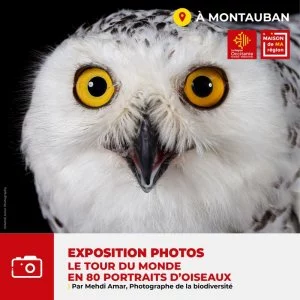 Affiche "Le tour du monde en 80 portraits d'oiseaux" Exposition du photographe de la biodiversité Mehdi AMAR à la Maison de Ma Région-Montauban