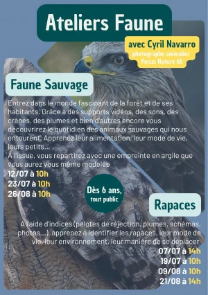 Affiche Rapaces
