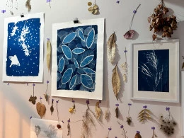 Cyanotypes et herbier - <p>Cyanotypes et herbier</p> - Berta Ibáñez 2024
