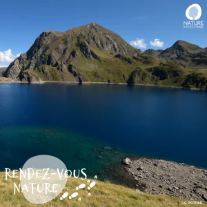 Affiche Sortie nature - Biodiversité montagnarde : endémisme pyrénéen et cie