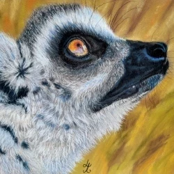 PROF - PROF D UN LEMURIEN - PASTEL SUR PAPIER - 100 EUROS 