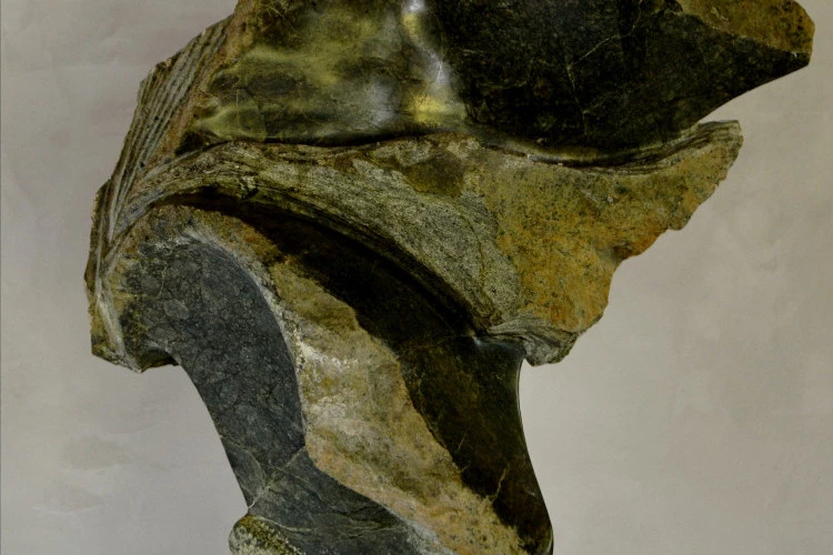 2016 . 74 - Lherzolite de l'étang de Lers en taille directe - A. DESPRES 