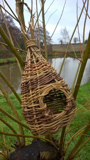 Affiche Initiation à la vannerie sauvage