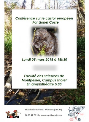 Affiche Conférence sur le castor européen en présence de Lionel Coste