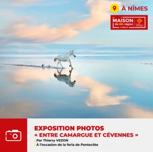Affiche Exposition "Entre Camargue et Cévennes"