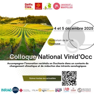 Affiche Colloque National Vinid'Occ