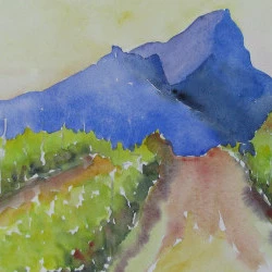 Vignoble du Pic Saint-Loup - aquarelle 65x50 2019 - PSL JN Le Junter 