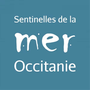 Affiche Cycle de conférences