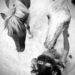 photographie d'une séance de soins par Anne Guillaumont - Dessins, peintures, photos et vidéo de chevaux de L'Etrier des Cabanelles - Philippe Montels 
