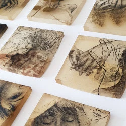 Série Anatomie végétale (détail) - Dessin à la mine lithographique et estampe collée, encre pigmentée, sous/sur polymère végétal artisanal avec inclusion de végétaux (ou peau végétale) - chaque pièce environ 20x20cm - 2025 et 2026 - T. Vailier 
