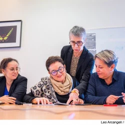 rmp0229294_leo_arcangeli___region_occitanie__bd.jpg - Leo Arcangeli Région Occitanie 