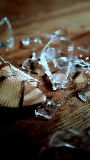 Affiche Splendeur - Abi Morgan / Delphine Salkin