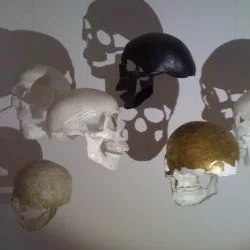 Installation de 6 crânes flottants - Papier de soie, colle, fil de nylon, 2016 - M.Carnévalé 
