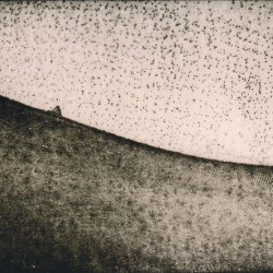 Ors - 2023, tirage argentique sur papier baryté, 25 × 12,5 cm. - © ADAGP, Courtesy Galerie Robet Dantec. 