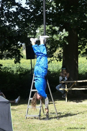 Affiche Stage Mât chinois Adulte