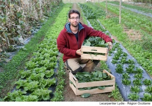 Affiche Présentation de la Foncière agricole Occitanie
