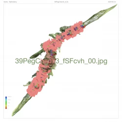 Pegchemin - Première de couverture rassemblant le cheminement à l'origine des Kippus - S&B 