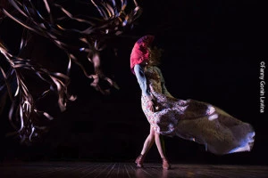 Affiche Le dur désir de durer