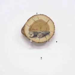 Pléonasme - Gouache sur rondelle de bois, 2023 - Adagp 