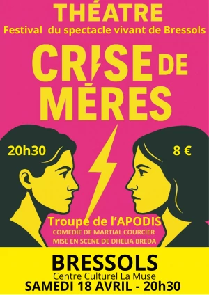 Affiche Théâtre : Crise de mères