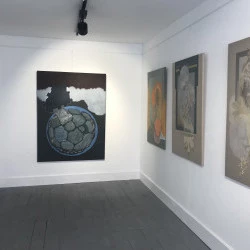 Exposition - Scutoids, Cells and more … juillet 2023 - Oeuvres : John Mcnorton, peintures à l'huile sur toile. - ©JohnMcNorton 