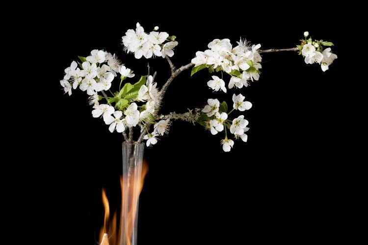 Les cendres de l'histoire - Photographie / Tirage sur papier Hahnemühle satiné exemplaire 1/8 - Natacha Nikouline 