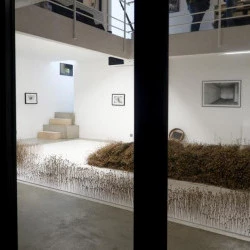 Coquelicots - Installation en cours - Octobre 2022 - Christian Durante 