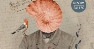 Affiche Exposition : Philadelphe Thomas