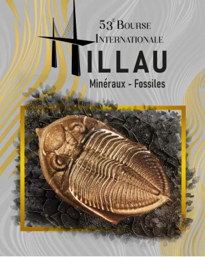 Affiche 53 ème Bourse internationale minéraux fossiles gemmes Millau 2024
