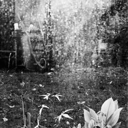 ADLS 1873 - Au-delà de la serre