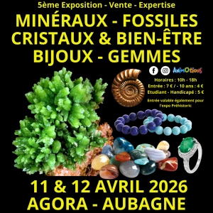 Affiche 5ème Salon Minéraux Fossiles + Exposition Préhistoire