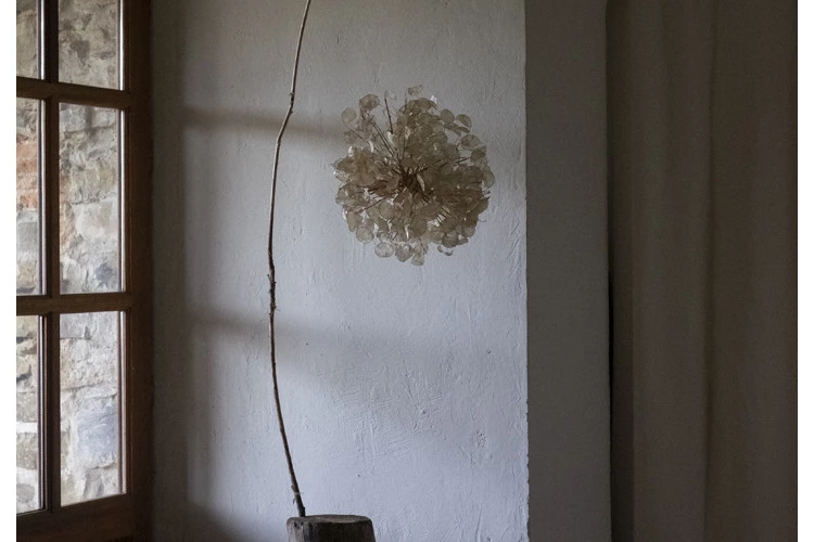 &#120391;&#120380; &#120395;&#120384;&#120382;&#120387;&#120384; &#120380; &#120391;&#120380; &#120391;&#120400;&#120393;&#120384; - Mobile / Stabile _ Bois flotté, fil de Lin, Lunaire annuelle, 200x60x35 cm, 2026 - Giulia Zanvit 