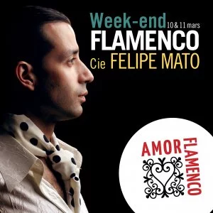 Affiche Flamenco : Stages + Spectacle avec Felipe Mato / 10/11 mars 2018 à Rivesaltes