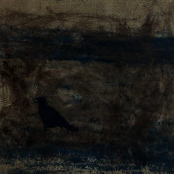 Sans titre - Brou de noix et cyanotype sur papier aquarelle. 16 x 20 cm. - Berta Ibáñez - 2022 