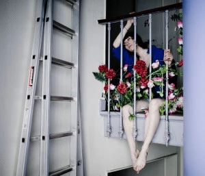 Affiche Camille Hardouin (La demoiselle inconnue)