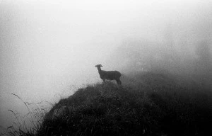 Affiche Exposition Jean-Luc FEIXA photographe "Brume, sable et poussière"