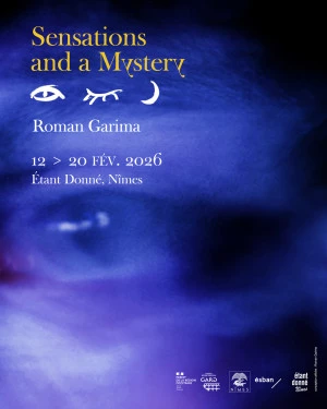 Affiche Sensations and a Mystery / Roman Garima