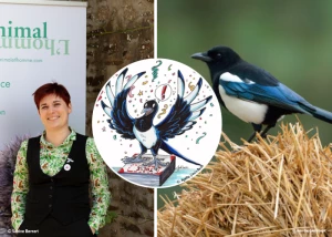 Affiche CONFERENCE : « Incompris et mal-aimés : réhabilitons les corvidés ! »